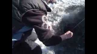 preview picture of video '1lb 5oz Rainbow Trout at Shannon Lake Feb. 1st 2014'