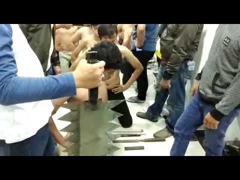 Gankstar ketangkep diciputat