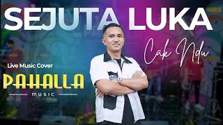 Download lagu SEJUTA LUKA | Cak Ndu | Pahalla Music  mp3