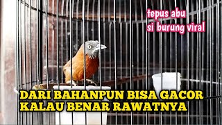 Download lagu TIPS RAWATAN HARIAN TEPUS KEPALA ABU OMBYOKAN SUPAYA CEPAT BUNYI mp3