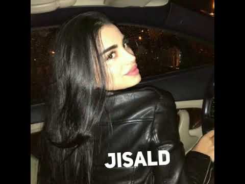 Tara202-Кавабанга