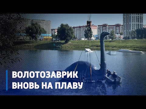 Вновь на плаву. Волотозаврик вернулся домой в свой родной пруд на Волотове видео