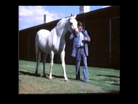 Two greats ~ Naborr & Zenon Lipowicz (Sir William Farm)