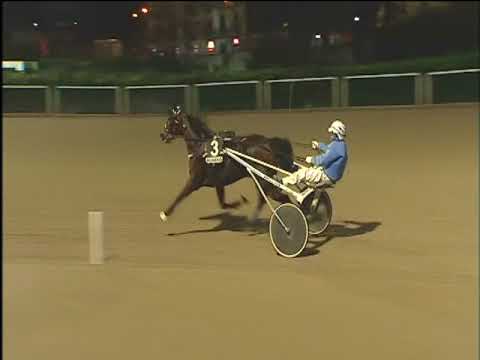 Trotto 16/01/2018 - 6ª corsa