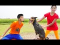 Must Watch Eid Special New Comedy Video 2023 Amazing Funny Video 2023 By Funny Day