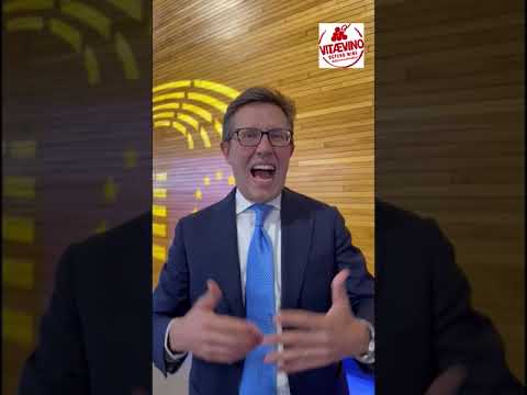 Video of Dario Nardella
