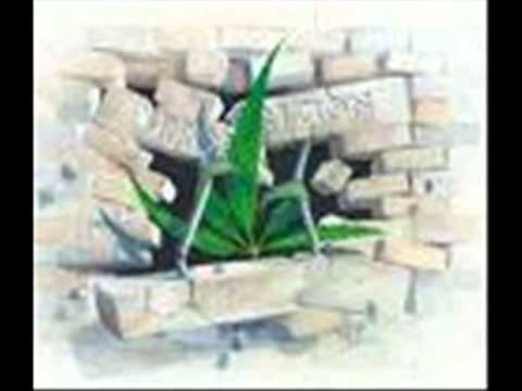 One Lio feat Lam'tah - Mila peace & love (Clip Officiel)