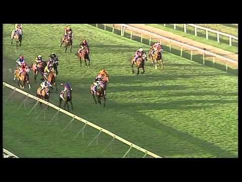 Clairwood 25082013 Race 9