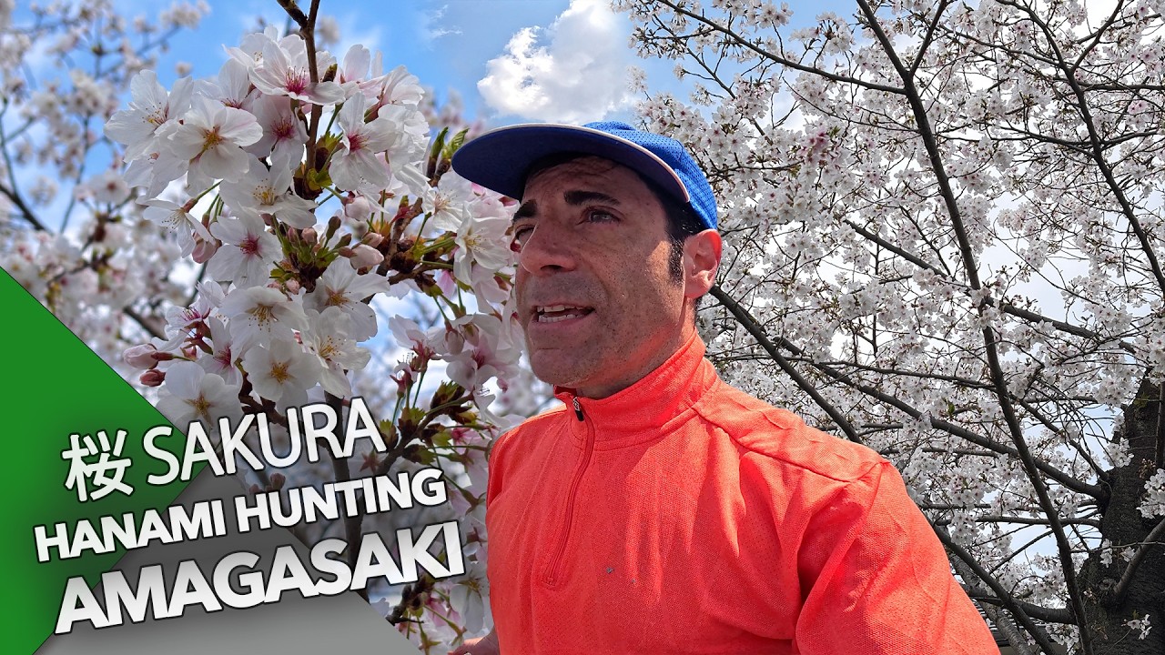 HANAMI EN AMAGASAKI: UNO DE LOS SAKURA MÁS BONITOS DE JAPÓN