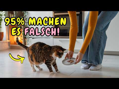 6 mistakes you're making when feeding your cat⚡️(95% don't know them)