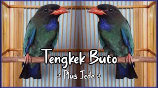 Download lagu MASTERAN TENGKEK BUTO TEMBAKAN SEREM      Plus JEDA mp3