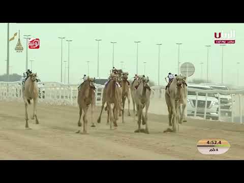   ش 5 (مهمة) لـ هجن الشحانية 9:22:07 , مهرجان المؤسس 2025/12/15 ايذاع  