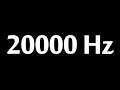 20000 Hz Test Tone 10 Hours