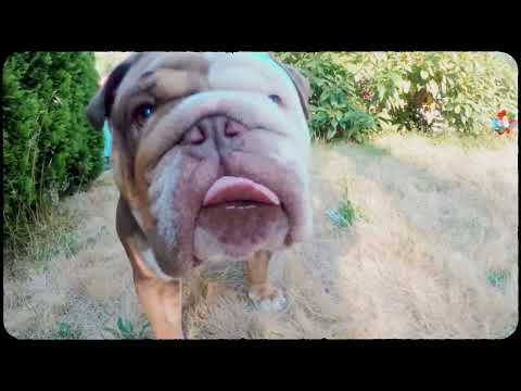 STEELAKEJAKE - COST A LOT F. TRE ROSS [OFFICIAL MUSIC VIDEO] (EDITS BY @YVNGJUMEX)