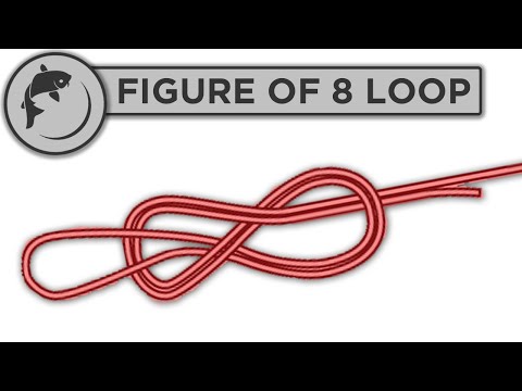 How To Tie A Figure Of Eight 8 Loop Knot
