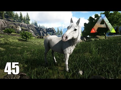 DOMEI ESSE LINDO CAVALO BRANCO - ARK VALGUERO #45