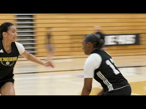 Mastering the Mental Game: Applied Sport and Performance Psychology (ASPP) at Dominican