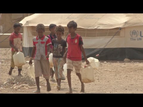 The Week in Review – 10 November 2017