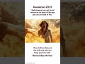 Revelation 20 15 Bible Jesus Biblestudy Revelation