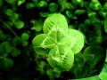 THE TWELFTH OF NEVER - Johnny Mathis (lyrics)