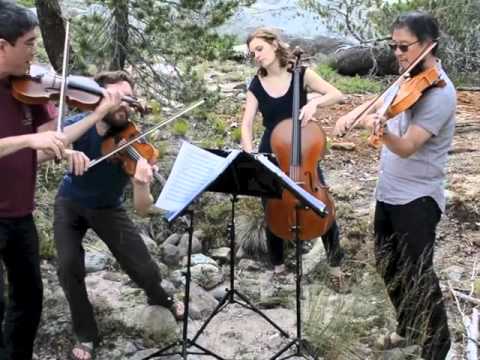 Del Sol String Quartet 2015 Highlights