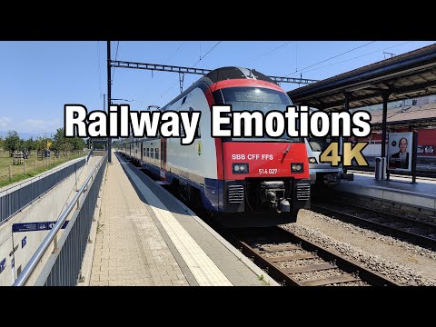 🚆 4K Führerstandsmitfahrt durch den Kanton Zürich im Sommer (Schweiz | S8 Winterthur - Pfäffikon SZ)