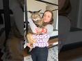 Top 5 Biggest Cat Breeds Number 1 Looks Like A Wild Animal BigCats CatLovers WildLookingCats
