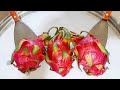 Dragon Fruit Ice Cream Rolls Oddly Satisfying Fried Ice Cream Rolls ASMR Fast Relax Food Art