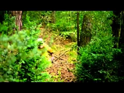 MTB Downhill Cedric Gracia - crazy run [ Jakalope - Upside Down ]