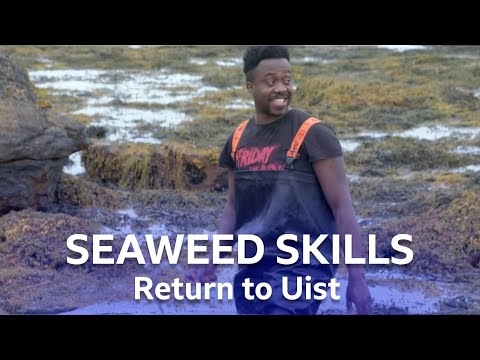 Seaweed Harvesting | Return to Uist | BBC Scotland