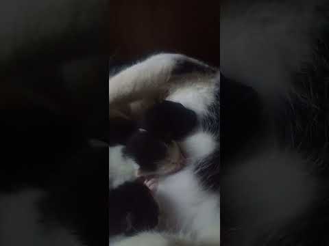 23 de outubro de 2025