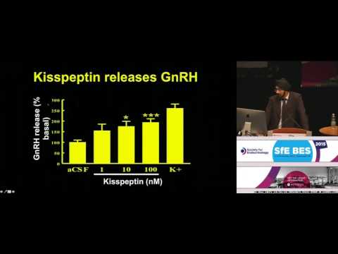 Plenary Lecture 2: Society for Endocrinology Medal Lecture