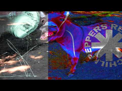 Prodigy vs O&A vs RHCP - Deep Dick Willy!