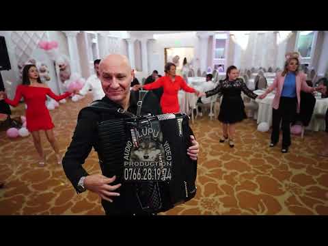 Nelu Bitana - Program cu Hore de joc si Sarbe Forta  - Colaj de petrecere  - LIVE 2025