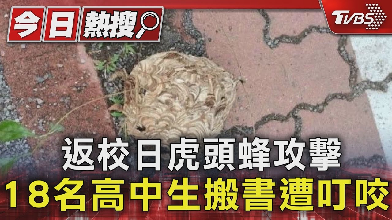 返校日虎頭蜂攻擊 18名高中生搬書遭叮咬