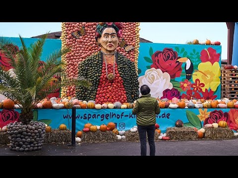 Pumpkins take centre stage at Germany's biggest autumn festival - YouTube