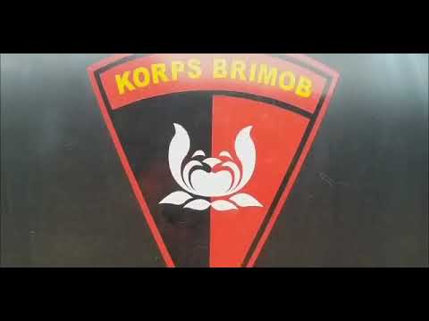 Latihan jungle warfare brimob dan polisi udara