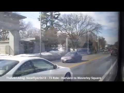 TheMBTADog: MBTA Bus 73 Ride - HARVARD to WAVERLEY SQUARE via MOUNT AUBURN [New Flyer 0613]