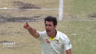 The best of Australia&#39;s bowlers in the Ashes