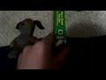 Thomas And Friends Percy Saves The Day 2005 VHS Review