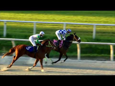 210926 c07 CLASSIQUE