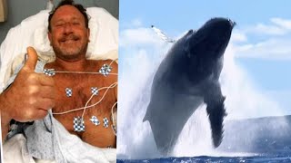 Man Swallowed by Humpback Whale Was 1 in a Trillion