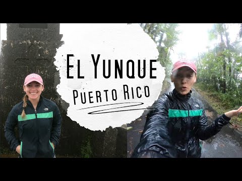 El Yunque National Rain Forest (Puerto Rico) Hiking Tips!