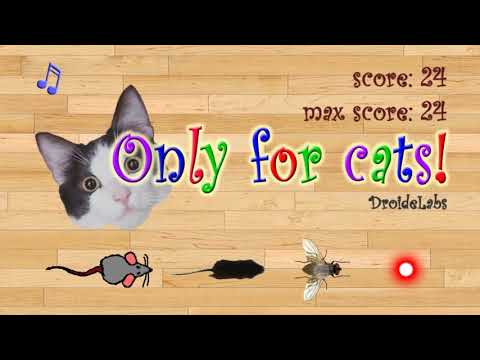 Only for Cats