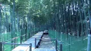 hiro - Brand New Day