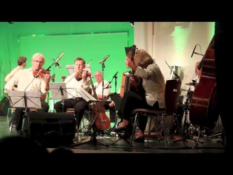 Ausseer Bradlmusi - Alpler Polka (Herbert Pixner)