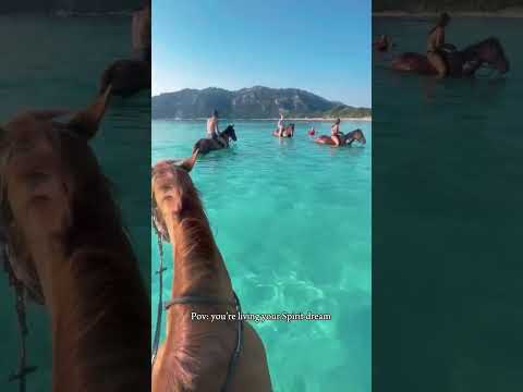 Santa Giulia 😍#travel #travelgoals  #santagiulia #traveltips  #travelexperience #bucketlisttravel