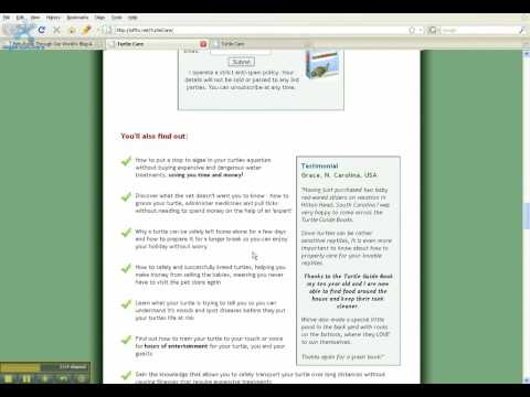 Complete Turtle Care Guide Paul Bryan