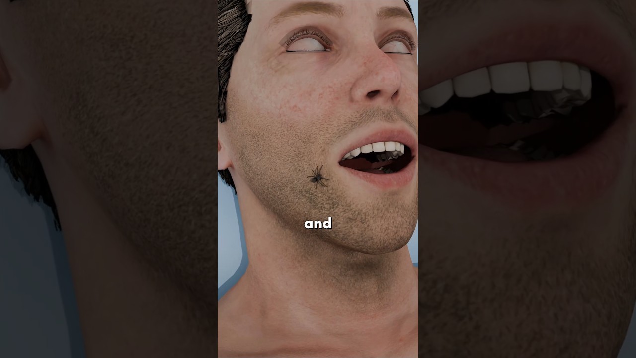 We Eat Spiders While Sleeping? 😷