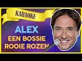 Alex - Een bossie rooie rozen // Sterren NL Karaoke
